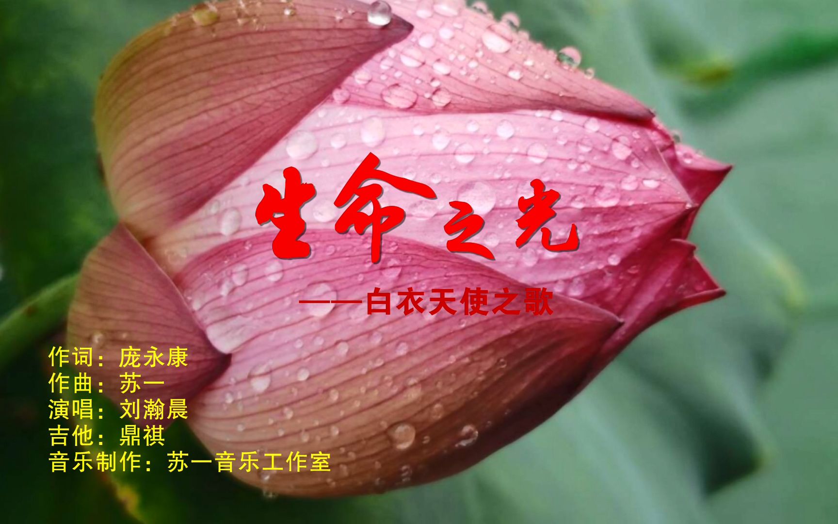 活动作品生命之光白衣天使之歌