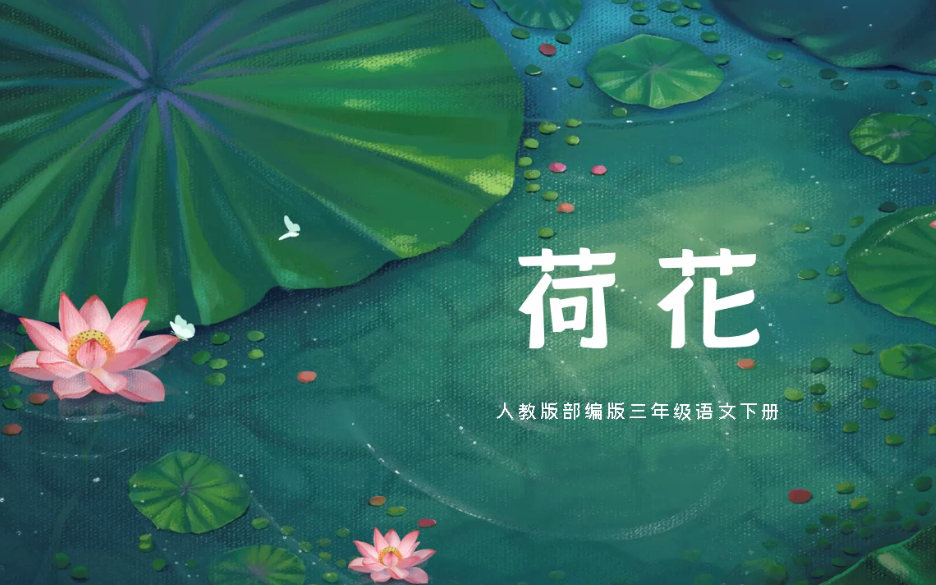 【课件】《荷花》部编人教版三年级语文下册YW03B006KJ哔哩哔哩bilibili