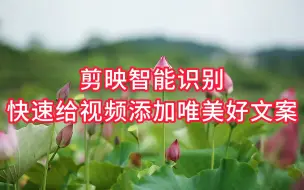 Download Video: 剪映强大的智能识别功能，一键快速给视频添加唯美的文案