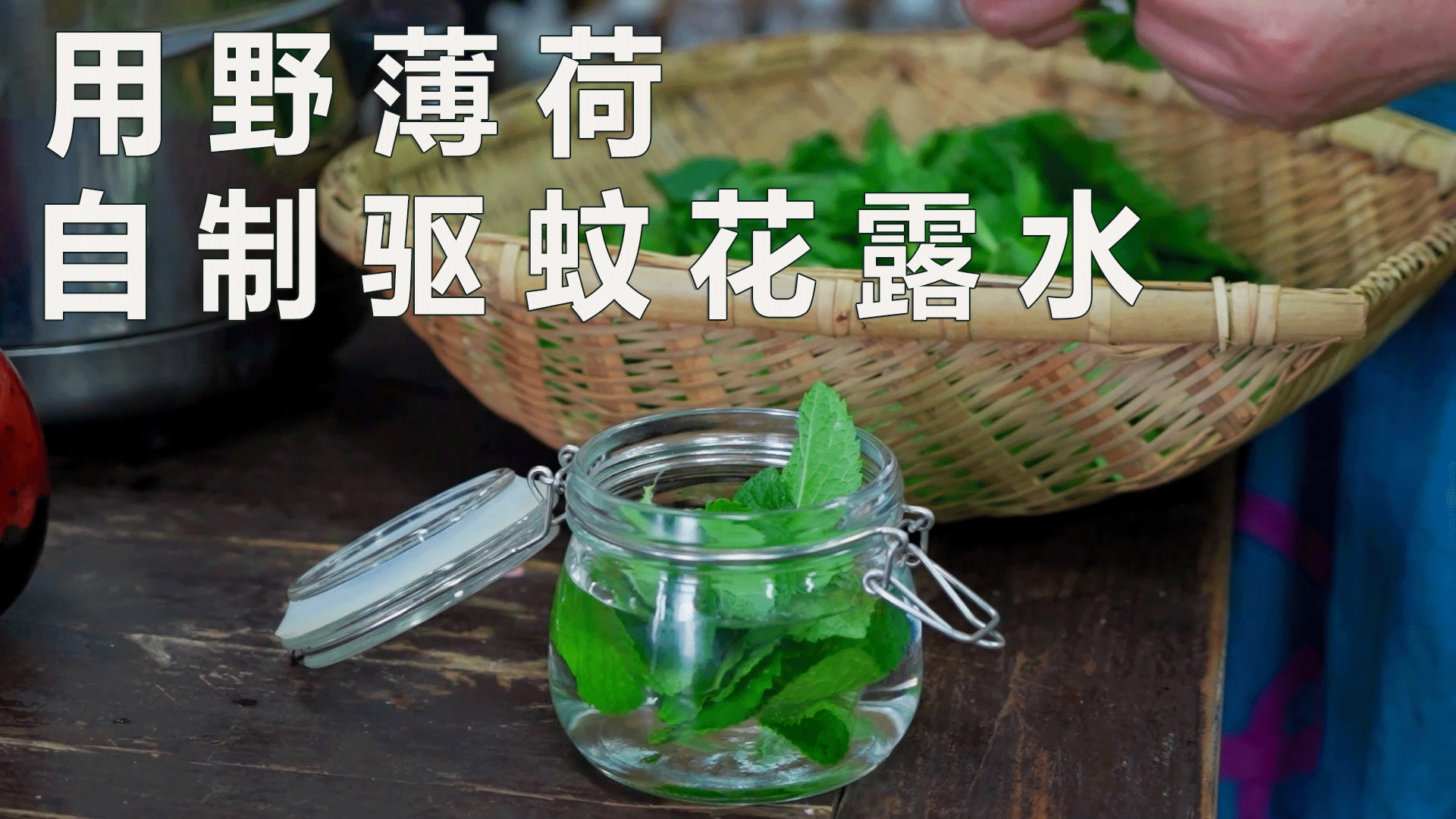 用野薄荷自制驱蚊花露水,省钱又实用!