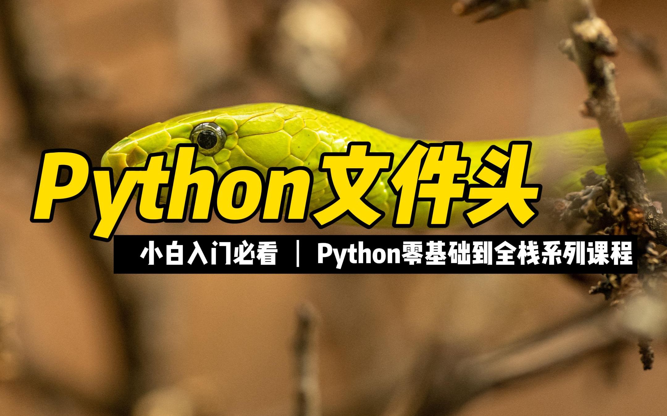 Python文件头  《python零基础到全栈系列》哔哩哔哩bilibili