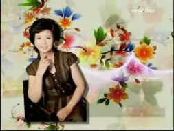 Video herunterladen: 音乐告诉你 周望讲古筝2008年12月9日