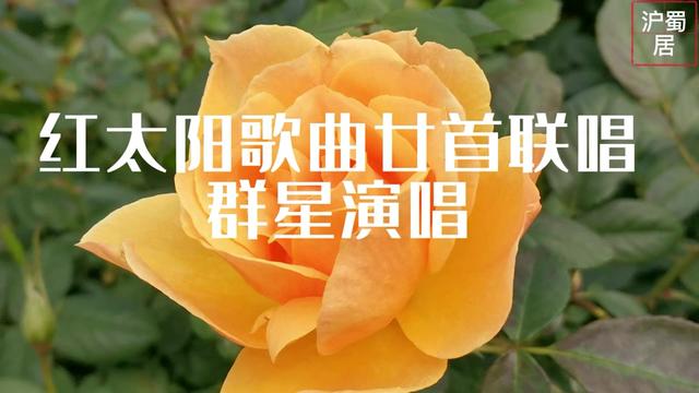 [图]红太阳歌曲廿首联唱