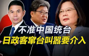 下载视频: 日政客窜台，叫嚣不准武力统台，呼吁美日介入台海，中方强硬警告