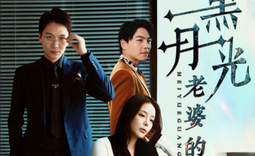 老婆黑月光《1999集全集大结局无删减版》哔哩哔哩bilibili