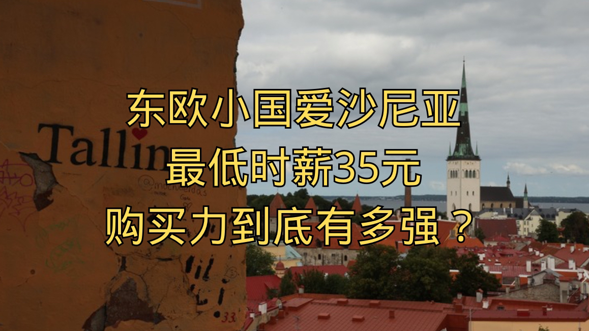 最接近的一集!最低时薪35元在东欧小国爱沙尼亚的超市里能买到什么东西?哔哩哔哩bilibili