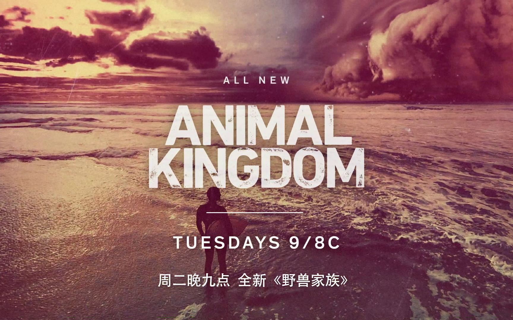 【美剧】tnt《animal kingdom》野兽家族 s3e8 预告_哔哩哔哩_bili