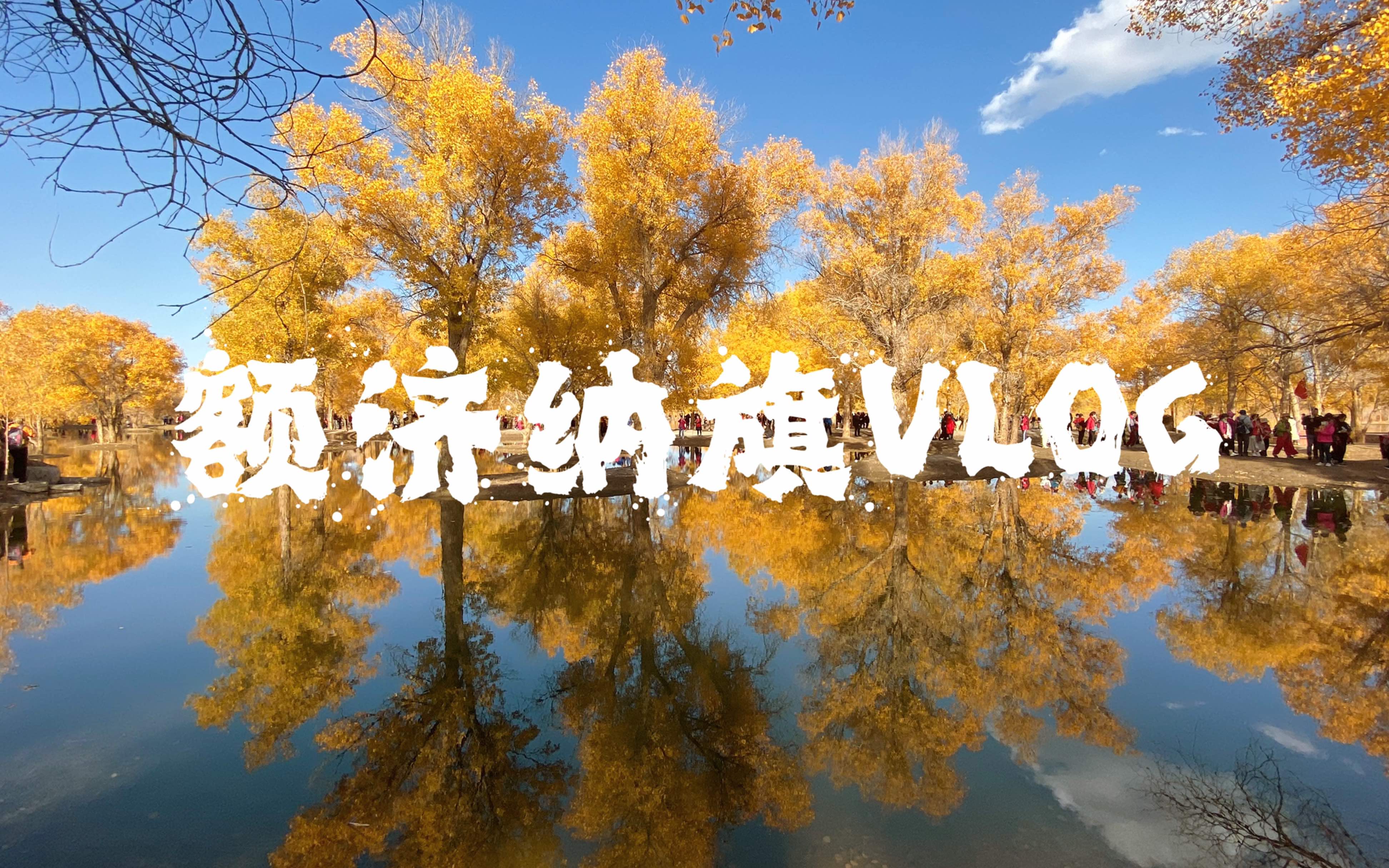 [图]VLOG34｜阿拉善额济纳旗胡杨林，走进三千年的金色森林，打开秋天的童话啦～