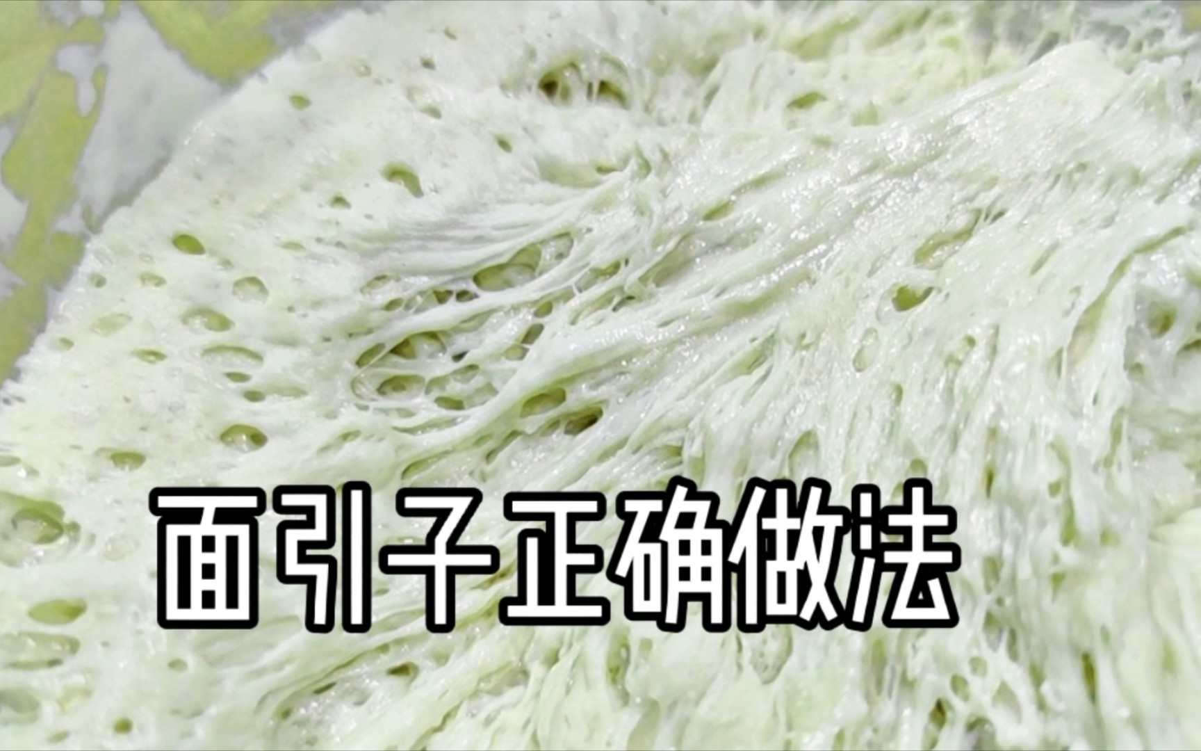 5克酵母能用1年?面点师教你老面引子做法,循环使用不限次数哔哩哔哩bilibili