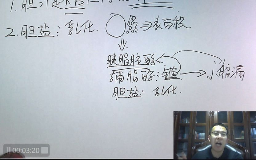 【考研西综每日一题】没有消化酶的胆汁,为什么能够被称为消化液?哔哩哔哩bilibili