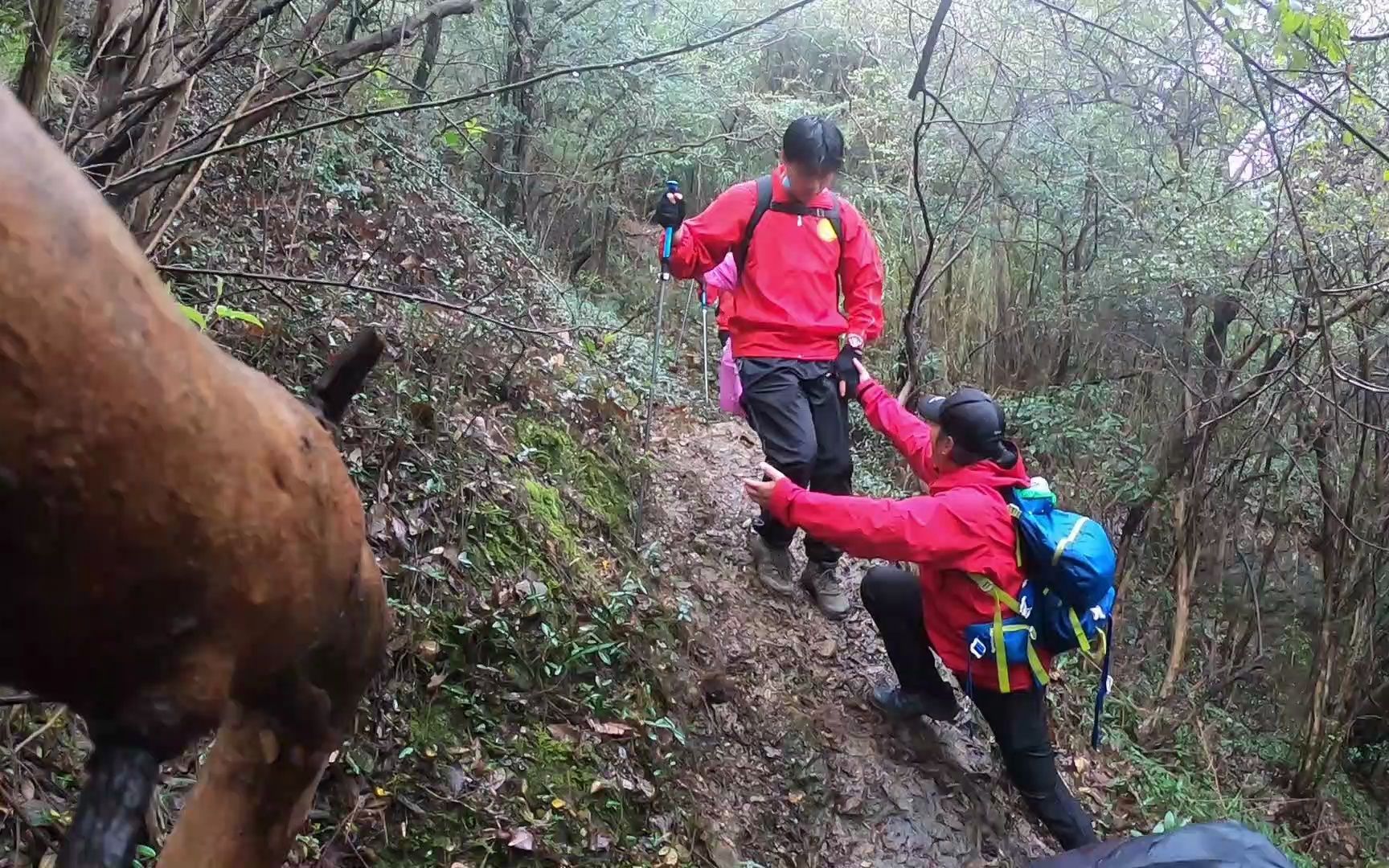 上海徒步群登山俱乐部旅游锻炼洪魏村18上海快乐徒步爬山户外哔哩哔哩bilibili