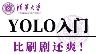 【2025版】这绝对是B站最好YOLO系列天花板教程，从入门到实战，通俗易懂，一套解决yolo目标检测遇到的所有问题！-深度学习丨计算机视觉丨YOLO