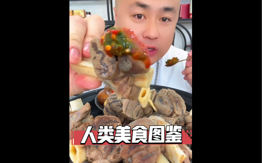 人类美食图鉴大赏②哔哩哔哩bilibili