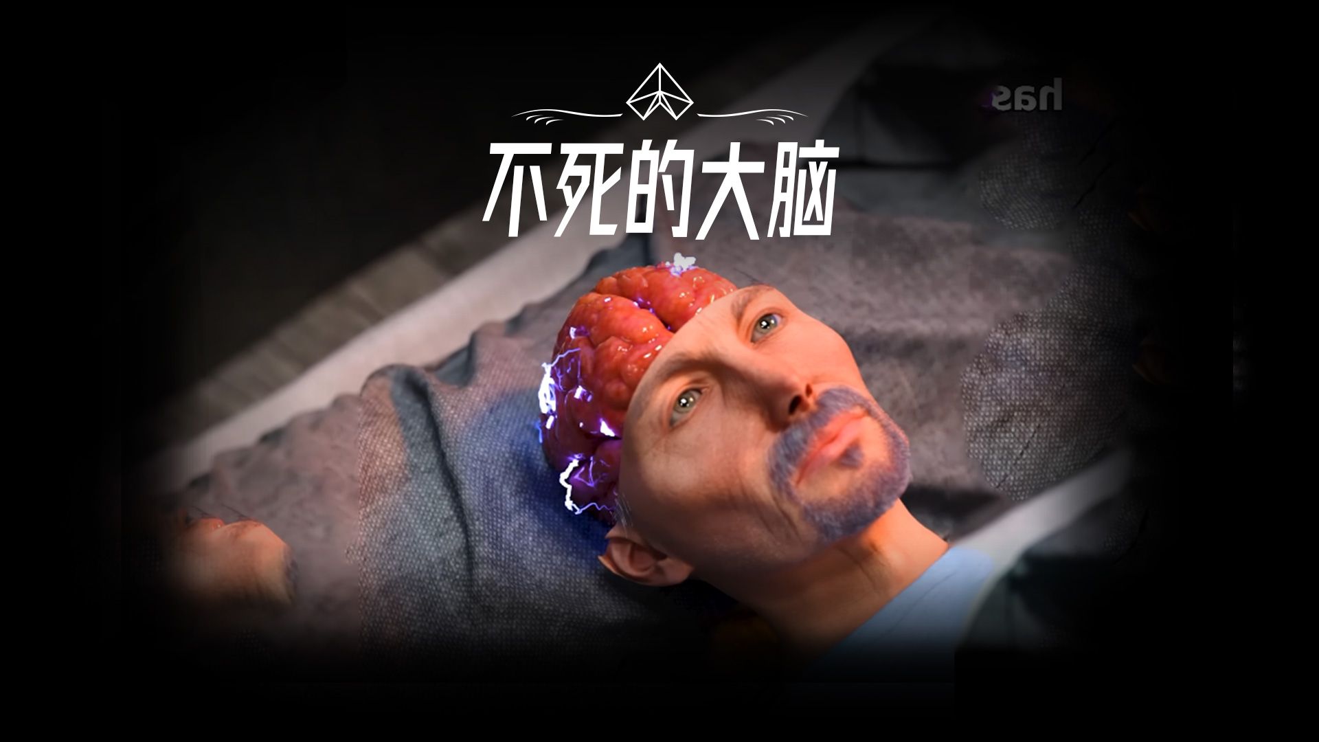 人死亡后大脑也会跟着死去吗?