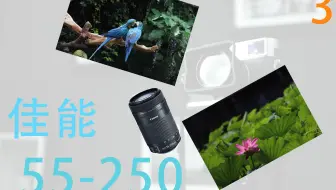 Canon 佳能EF-S 55-250 IS STM镜头拆机视频教程_哔哩哔哩_bilibili