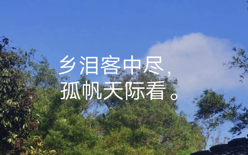 唐诗三百首(早寒江上有怀/早寒有怀/江上思归[唐代]孟浩然)哔哩哔哩bilibili