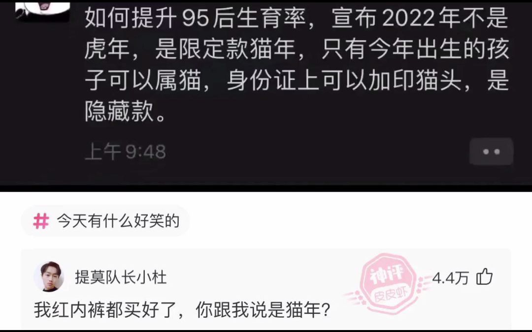 爆笑神评:如果我把中间租下来,起什么名字才能镇压住旁边两家?哔哩哔哩bilibili