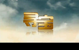 【CCTV】寻宝【2011年全年不全】哔哩哔哩bilibili