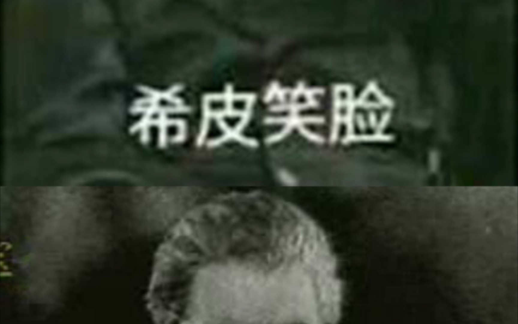 元首和大林从1941年一直到1945年的表情包变化哔哩哔哩bilibili