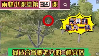 雨林小课堂第39课：最适合寄树老六的3种穿搭，完美与树融为一体