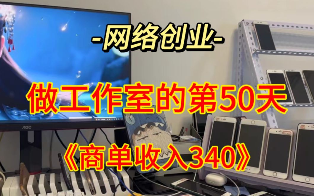 【做网络创业工作室第50天】昨日商单收入340大羊哔哩哔哩bilibili