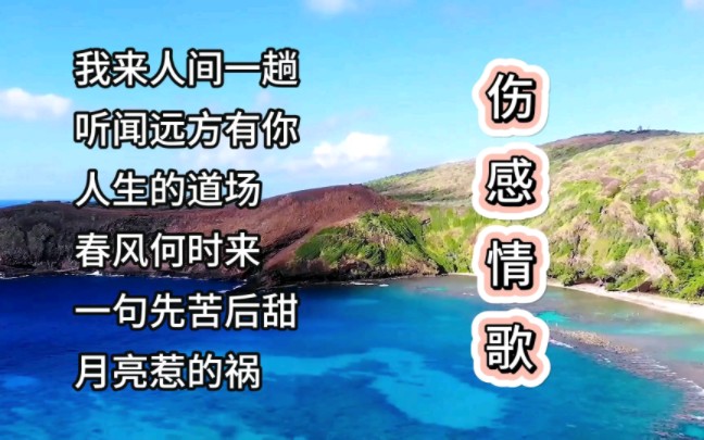 伤感情歌《我来人间一趟》《听闻远方有你》《人生的道场》《春风何时来》《一句先苦后甜》《月亮惹的祸》哔哩哔哩bilibili