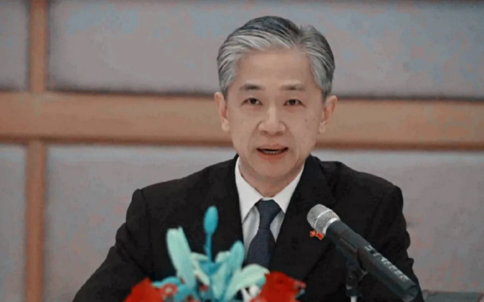 中法字幕汪文斌汪司去过突尼斯的好多地方呀