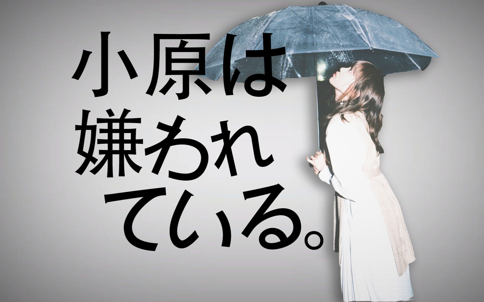 【内有小原学猫叫】小原被生命所“厌恶”着哔哩哔哩bilibili