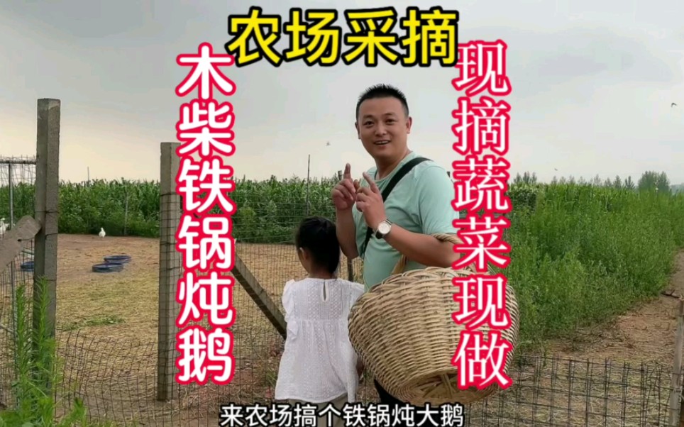 农场采摘哔哩哔哩bilibili