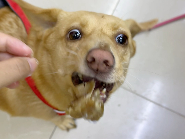 带土豆子去搞点火锅778