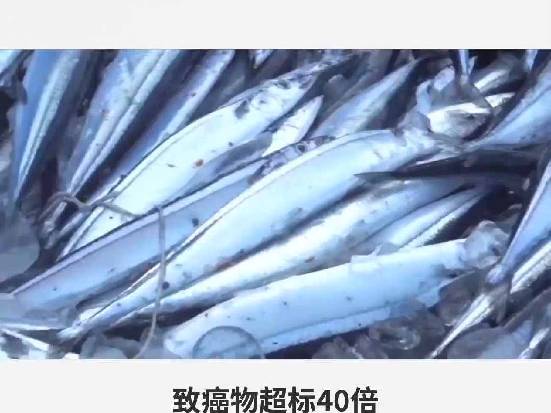 日本焙干秋刀鱼检出高致癌物苯并芘,台网友质疑日本食品能否信任#核
