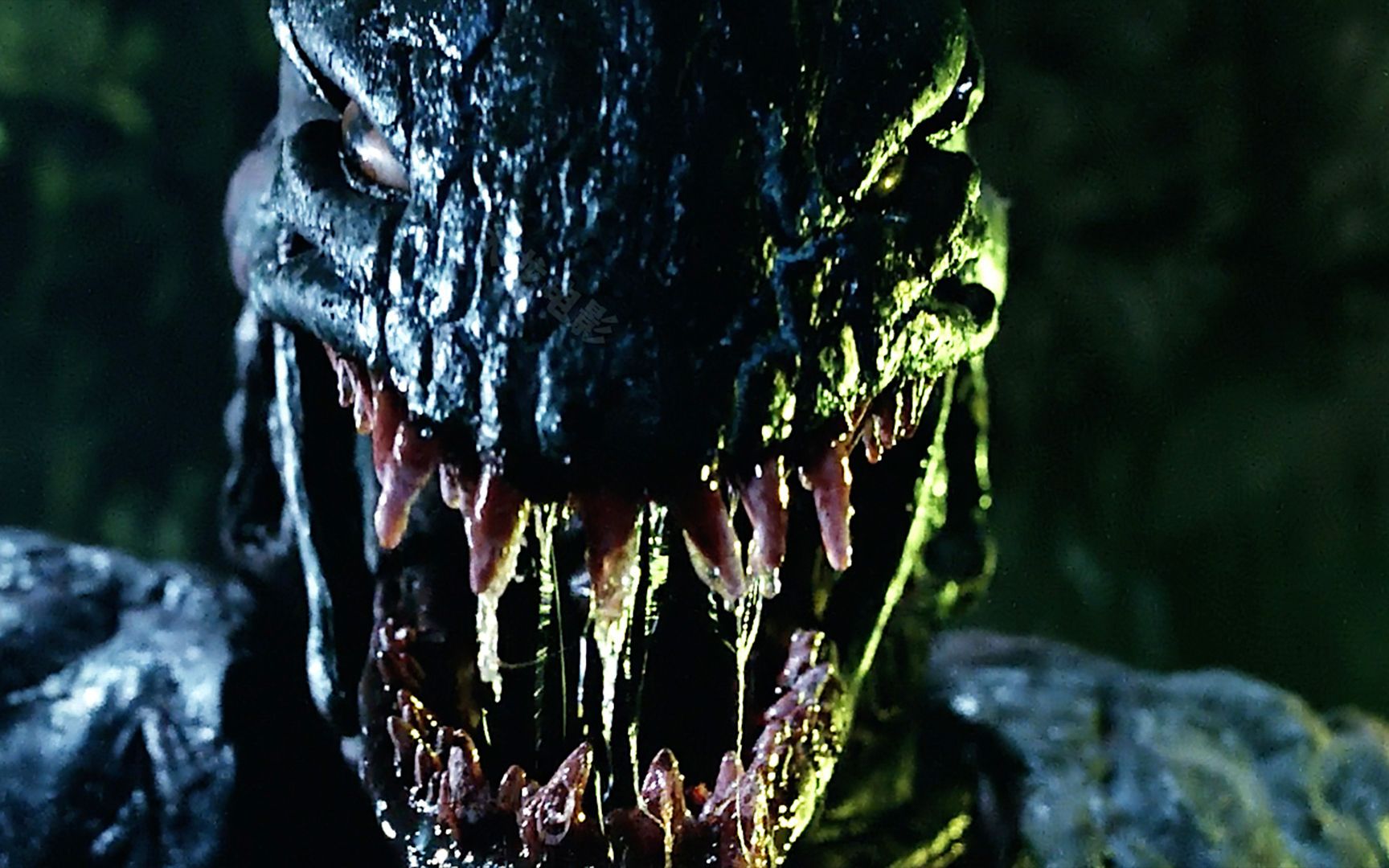 绝对是香港第一部将巫术与怪物完美结合的恐怖电影