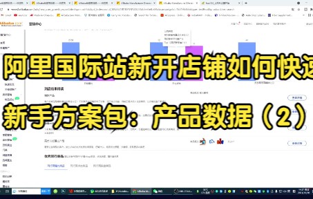 阿里国际站新开店铺如何快速步入正轨 新手方案包:产品数据(2)哔哩哔哩bilibili