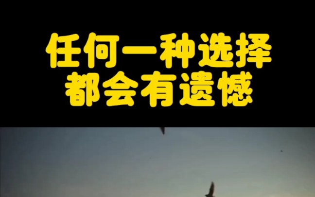 因为人生就是一道道的选择题,就算怎么选择都会有遗憾,所以只有合适