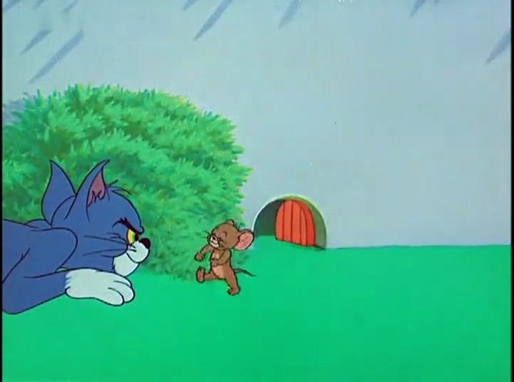 杰瑞亲汤姆1小时