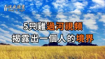 Tải video: 5只鸡过河视频一夜爆火！活了几十年，没想到被鸡上了一课，再忙都要花2分钟看看【深夜读书】