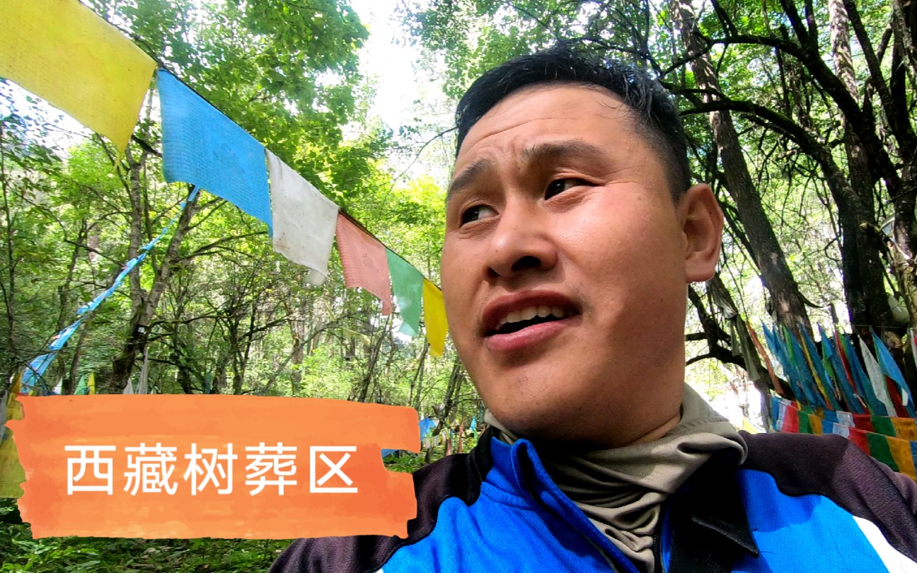 走进西藏卓龙沟树葬区,全身汗毛都立起来了,有些紧张.