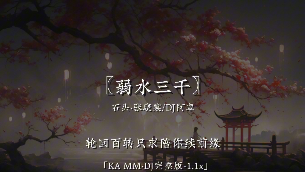 〖弱水三千·DJ完整版〗石头·张晓棠/DJ阿卓