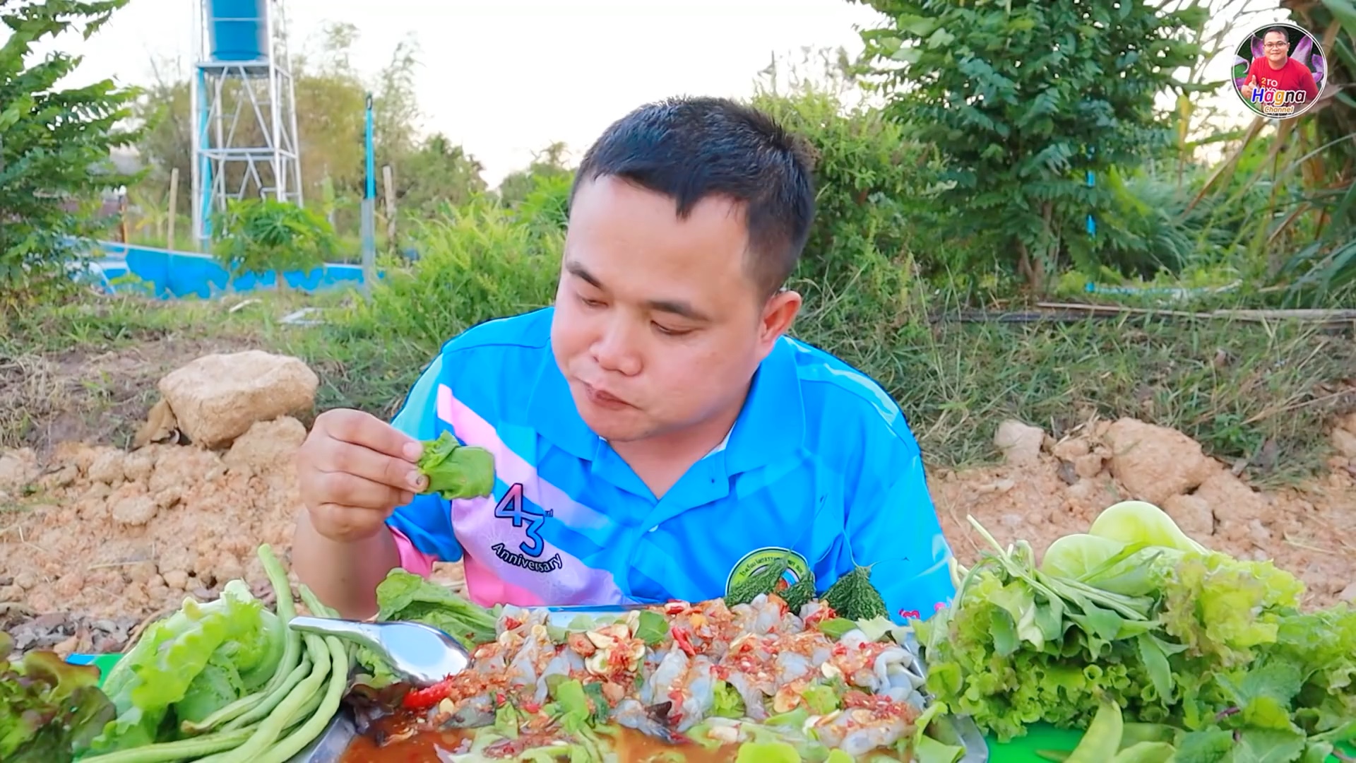 小黑哥今天吃鱼露凉拌海虾刺身配绿化带简单又美味