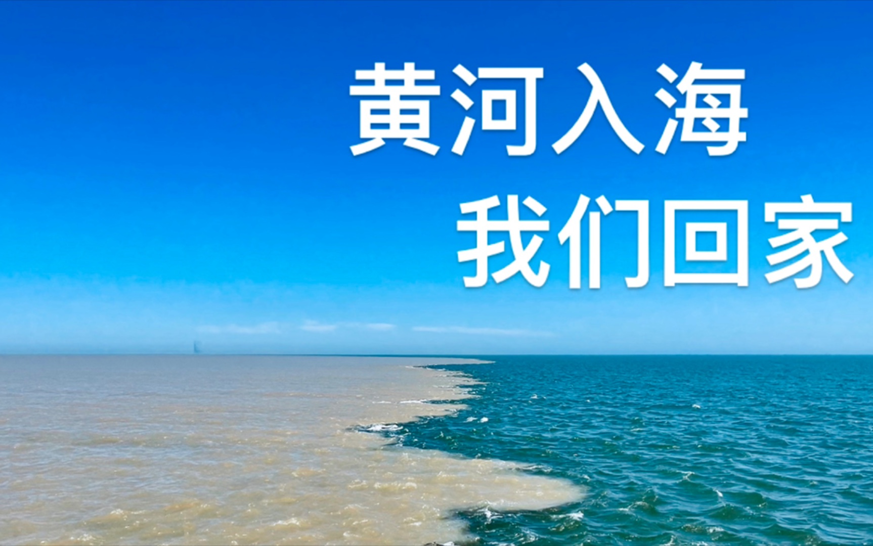 活动  vlog02 "黄海入海 我们回家"——东营黄河入海口