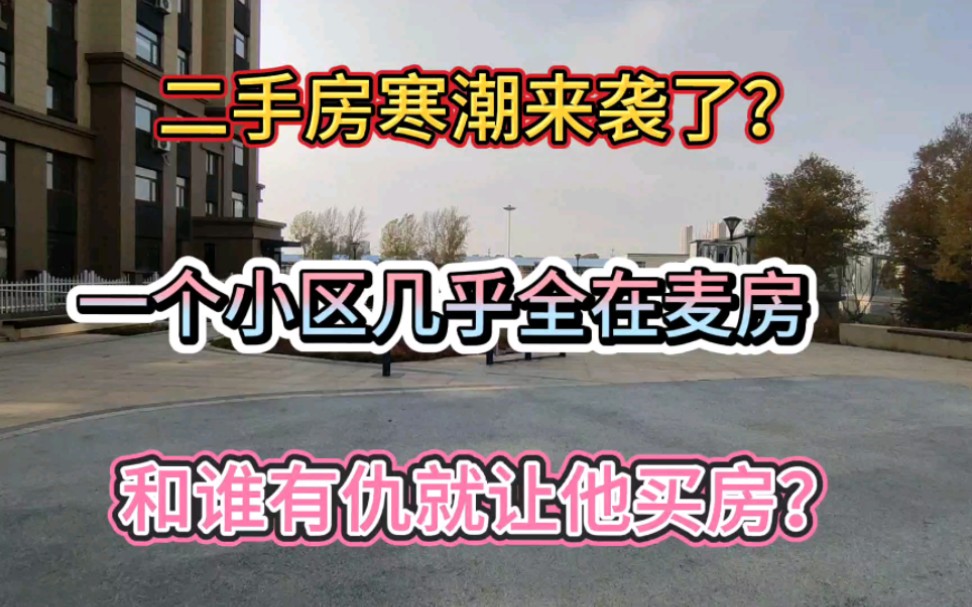 房地产的寒潮真的来了?就这样的小区一栋楼几乎都在卖房?但是谁买啊?二手房更难卖?哔哩哔哩bilibili