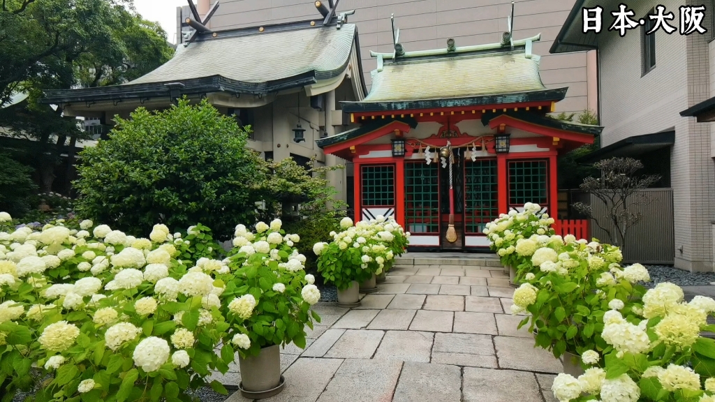 坐摩神社图片