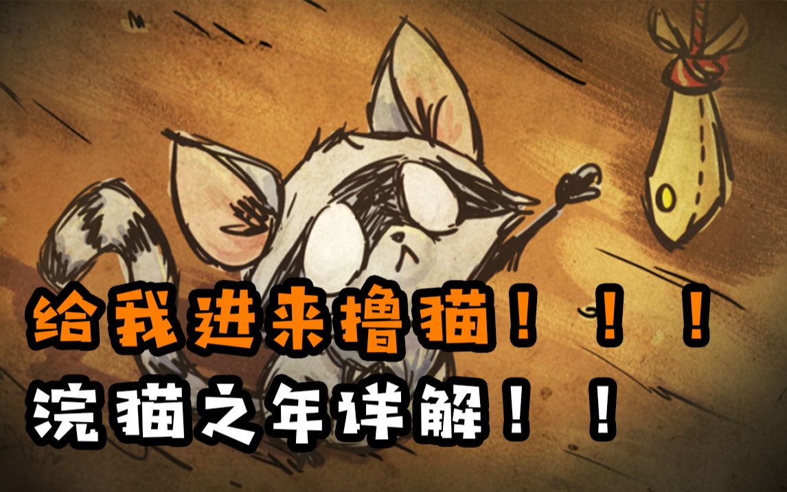【饥荒】寻找你最爱的小猫咪吧!浣猫之年详解!