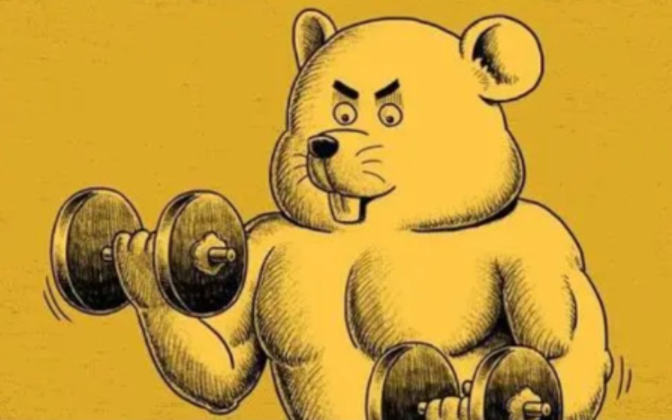 仓鼠练肌肉的日常