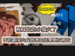 Download Video: 用猫训练出刀速度，实测结果，猫可以给人当陪练，用猫训练反应速度。效果特别好。活该网红猫霸凌冷兵器博主