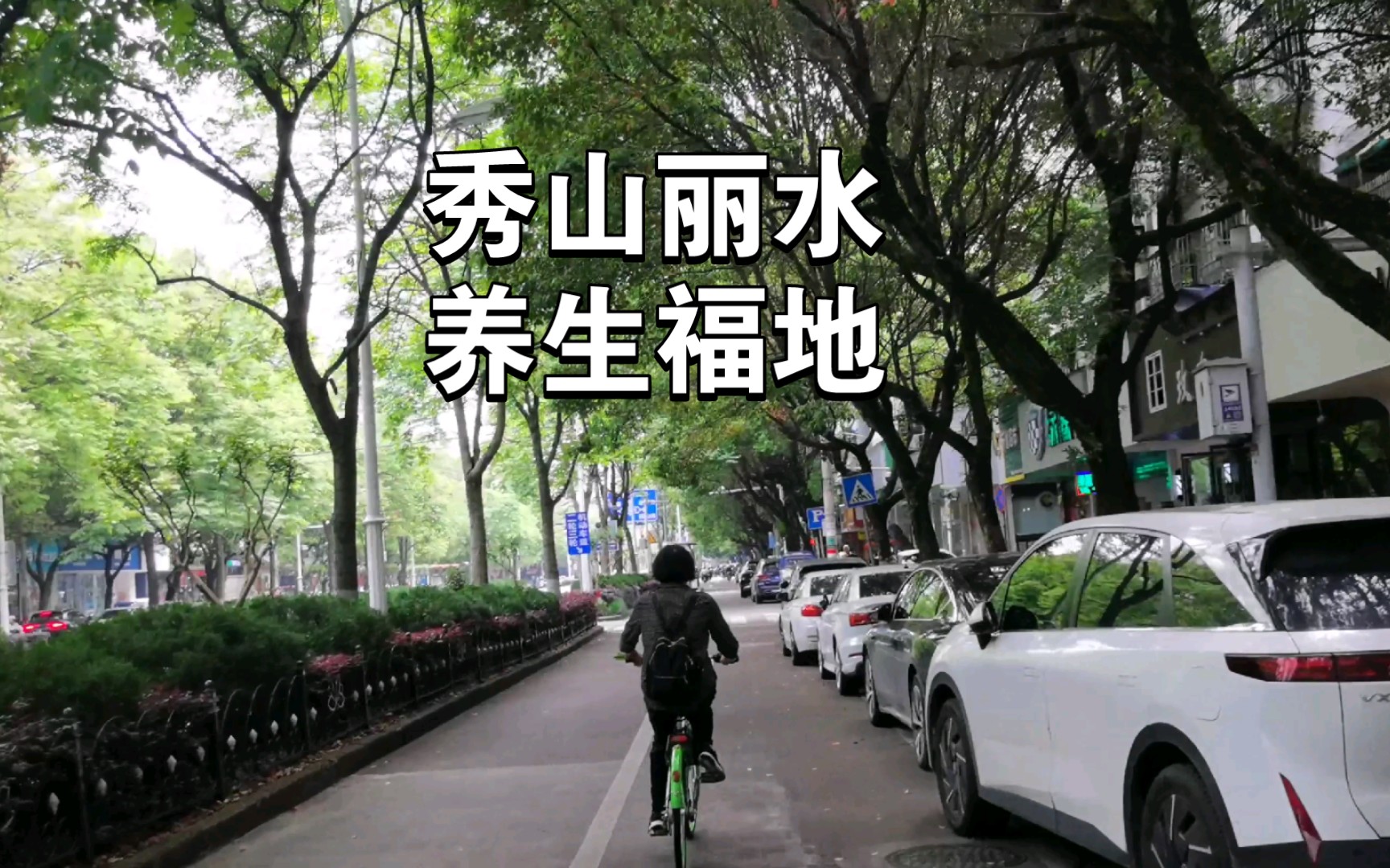 浙江丽水 养生福地 #转角遇到春天#哔哩哔哩bilibili