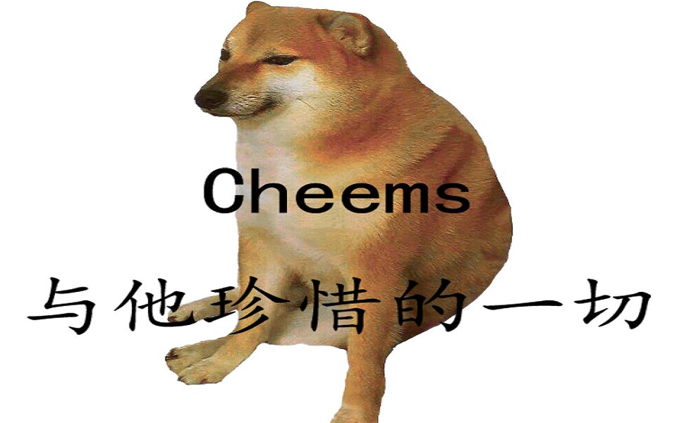 cheems找到了他珍視的一切