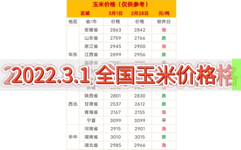 2022.3.1 今日最新 全国玉米价格 玉米行情价格走势哔哩哔哩bilibili