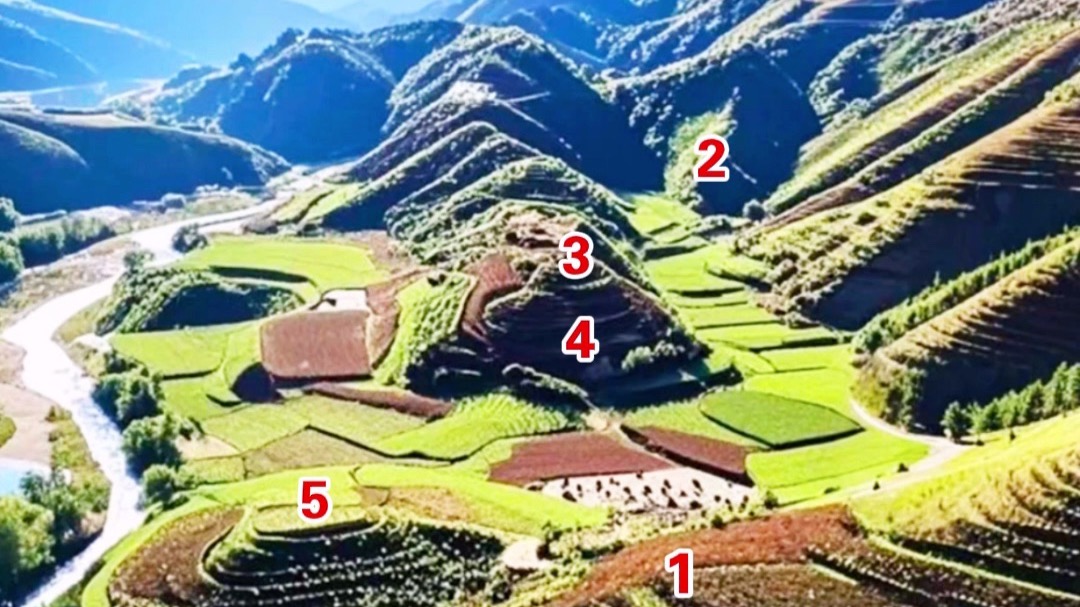 龙脉为骨,案山如印,朝山似屏,穴暖生气,阴阳交泰,气脉归宗