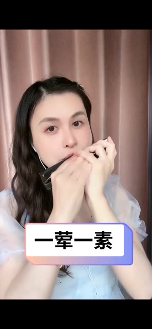 小姐姐口琴演奏《一荤一素》哔哩哔哩bilibili